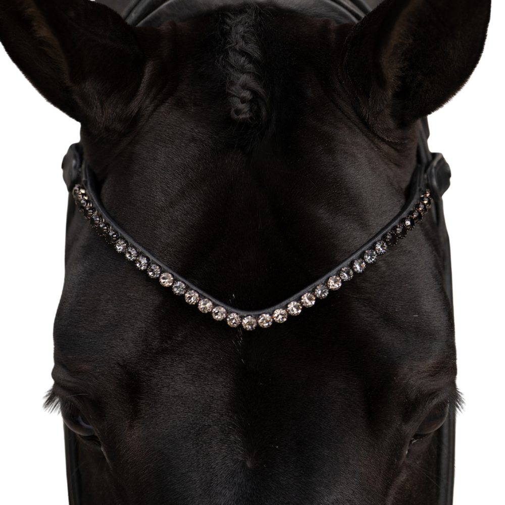 Equestrian Stockholm Stirnriemen Faded Black 8mm