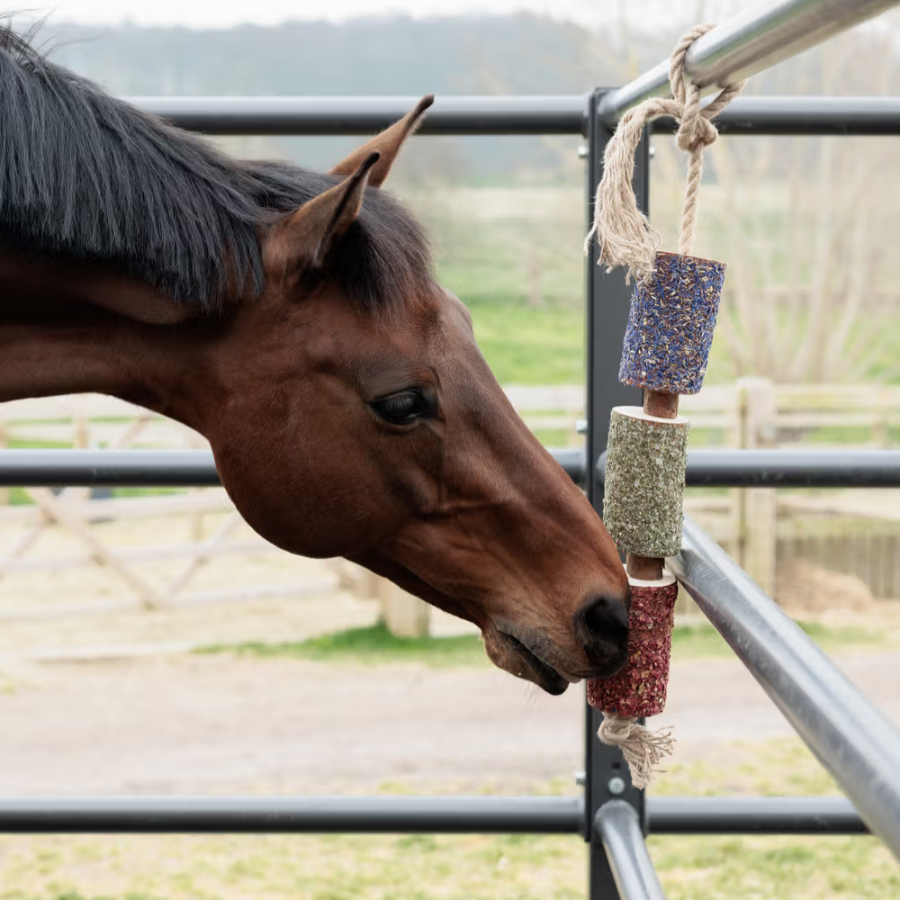 Kentucky Holz relax Pferdespielzeug