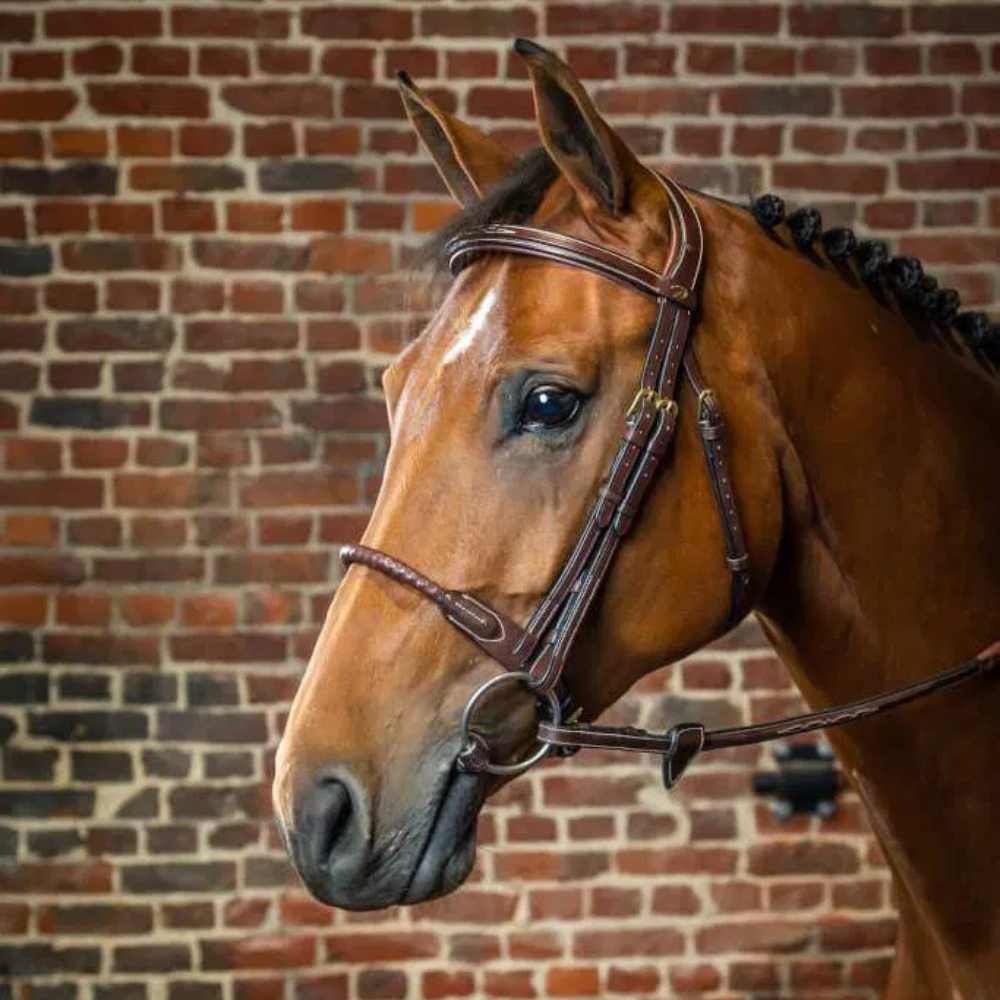 Dy'on Trense mit Strickreithalfter in Leder eingefasst