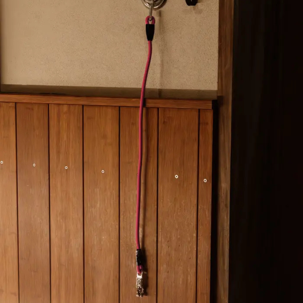 Kentucky Hängerstrick und Anbindeplatzstricke Silicone