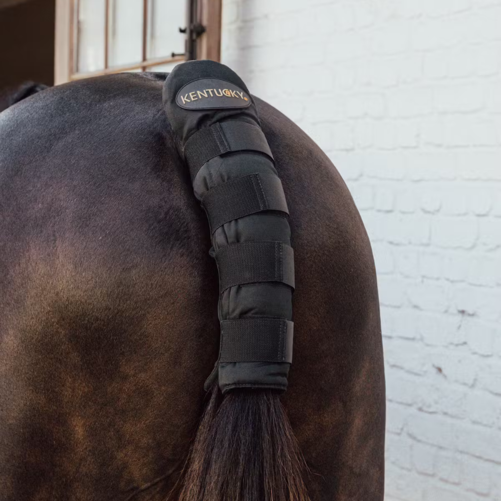 Kentucky Schweifschoner Pro