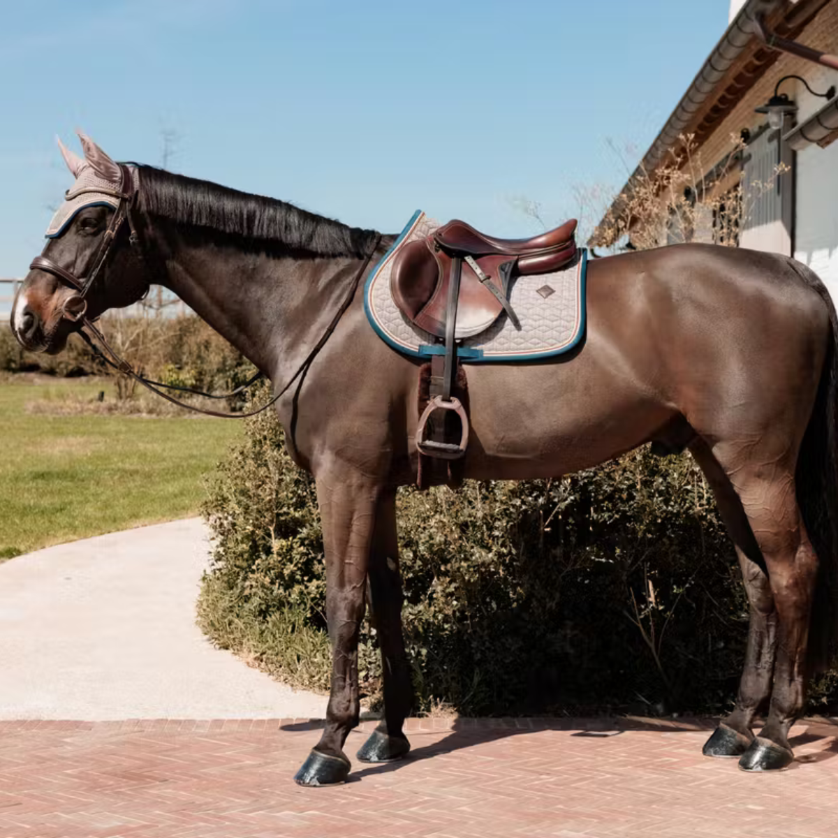 Kentucky Schabracke Pied-de-Poule Springen