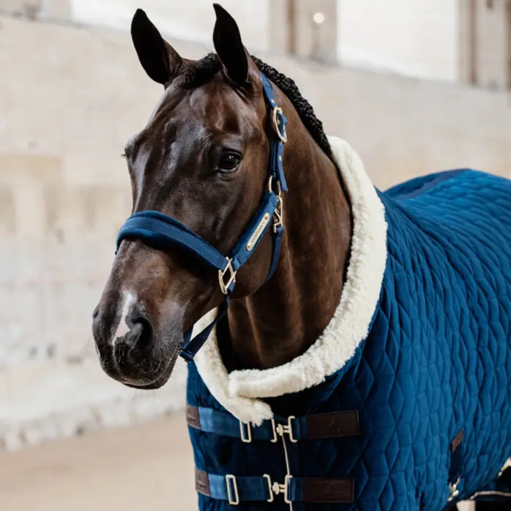 Kentucky Show Rug Velvet