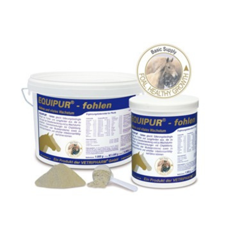 EQUIPUR - fohlen