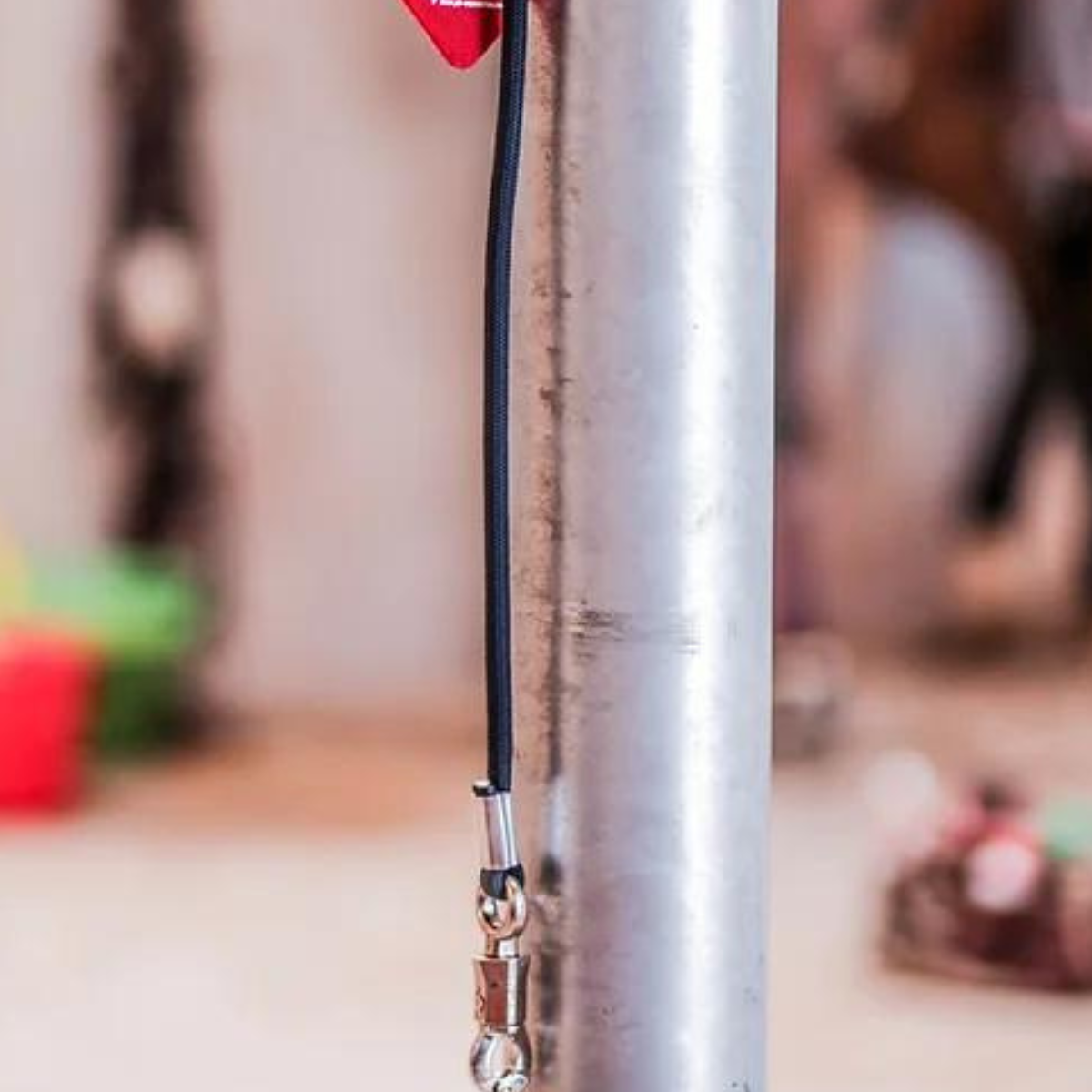 PH Equestrian Anbinder für Transport/Anhänger lang