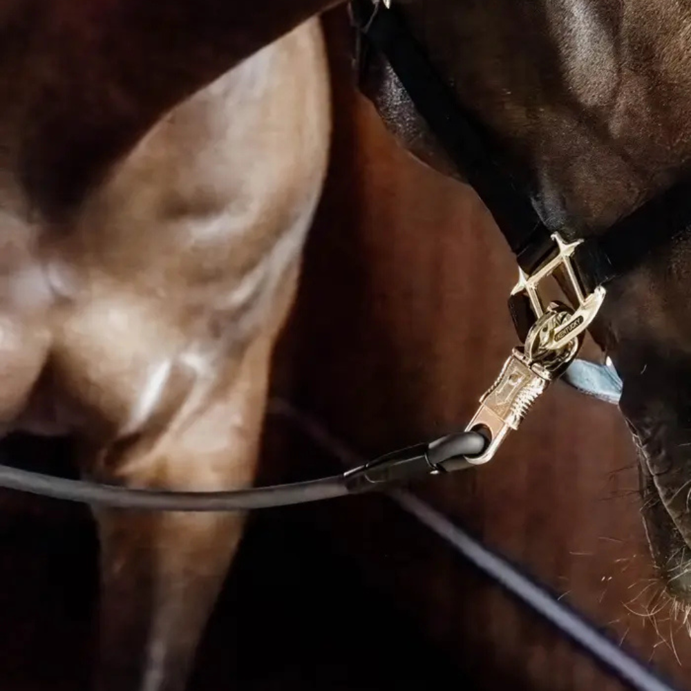 Kentucky Hängerstrick und Anbindeplatzstricke Silicone