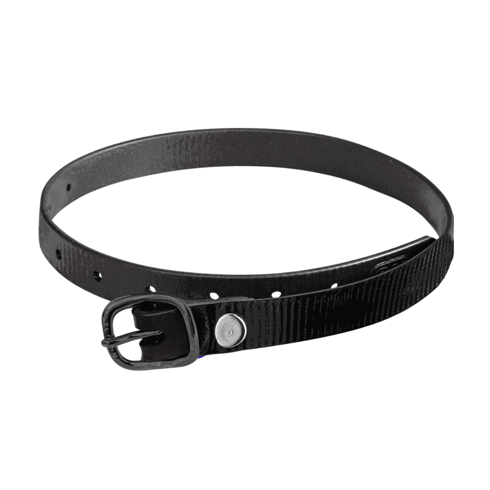Sprenger Sporenriemen Biothane glossy schwarz mit schwarzer Schnalle