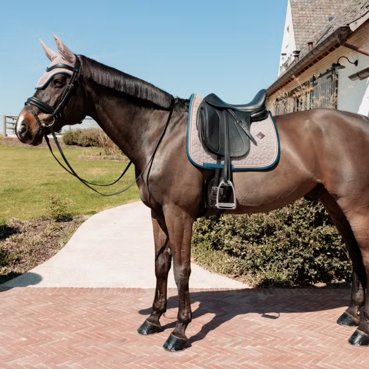 Kentucky Schabracke Pied-de-Poule Dressur