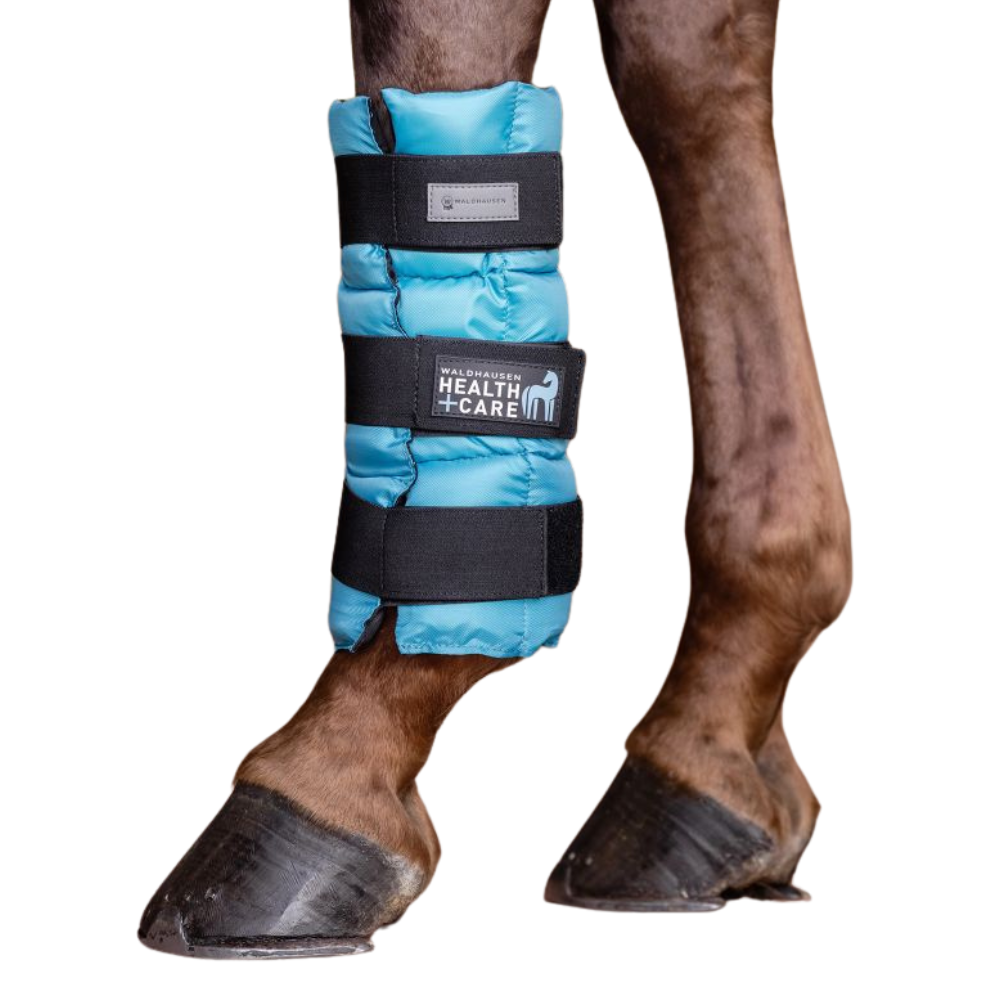 Waldhausen Health + Care Kühlgamasche