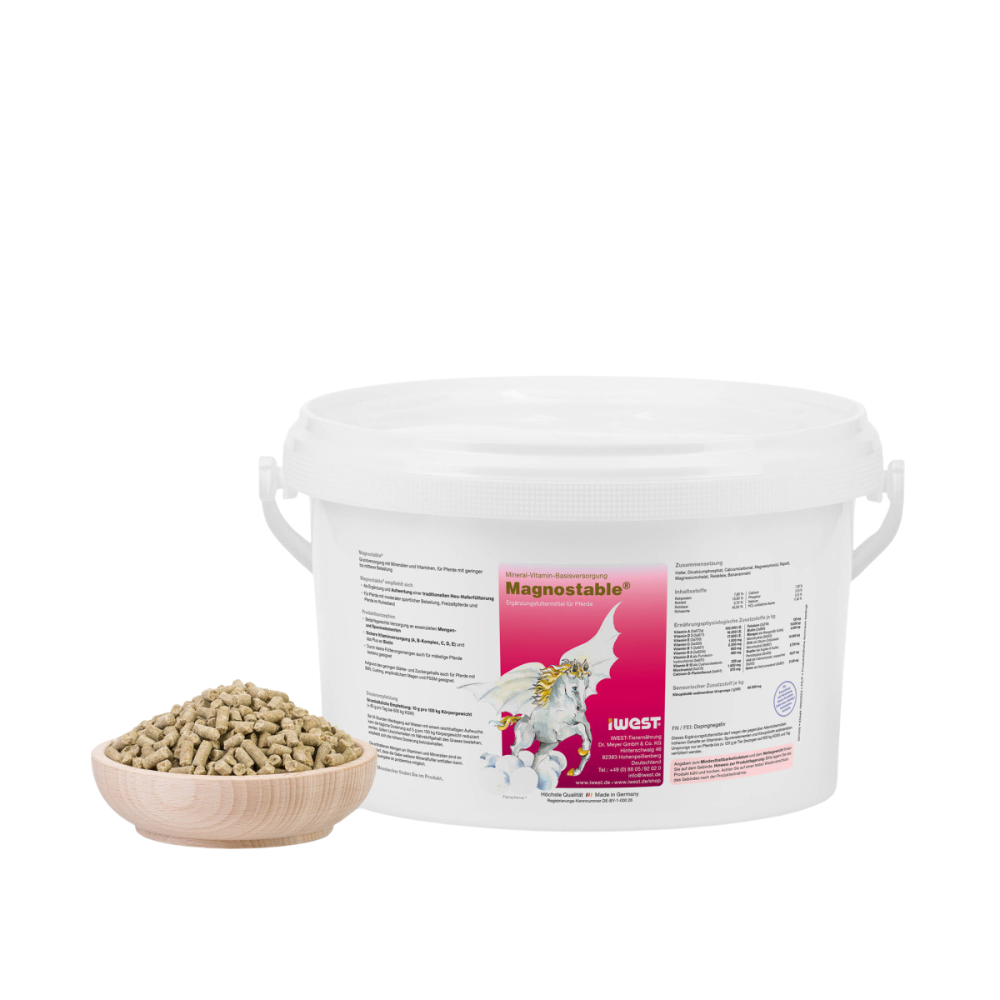 iWest Magnostable