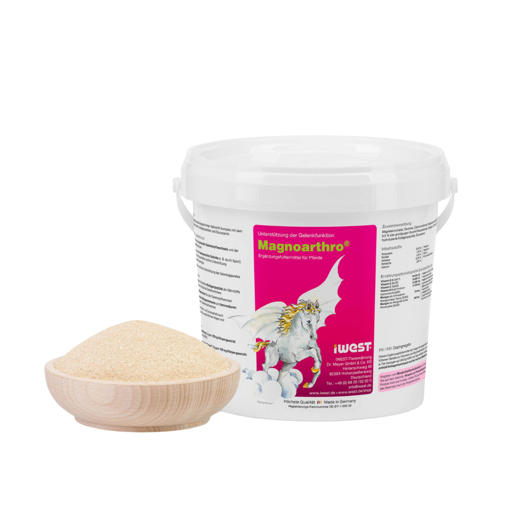 iWest Magnoarthro