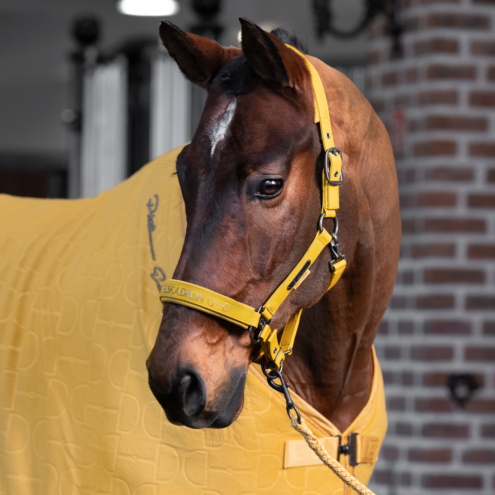 Eskadron Halfter FAUX LEATHER DOUBLE PIN, Platinum 2025