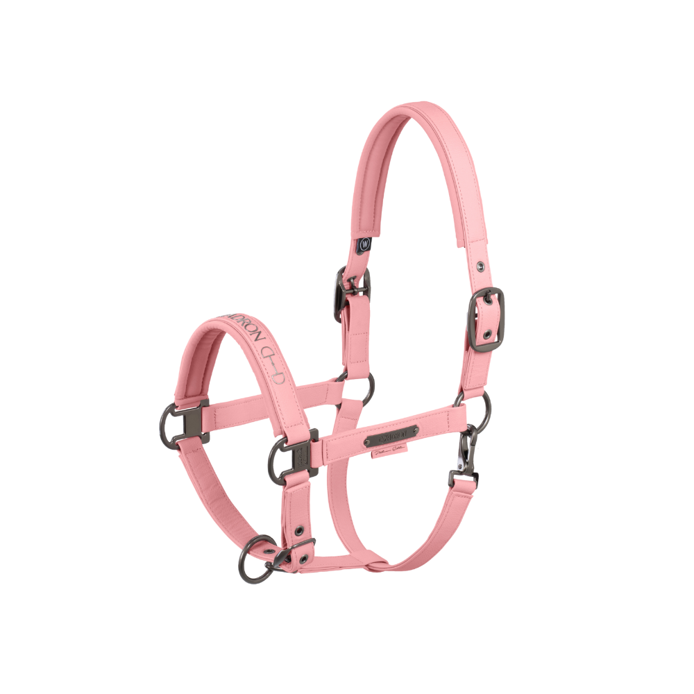 Eskadron Halfter FAUX LEATHER DOUBLE PIN, Platinum 2025