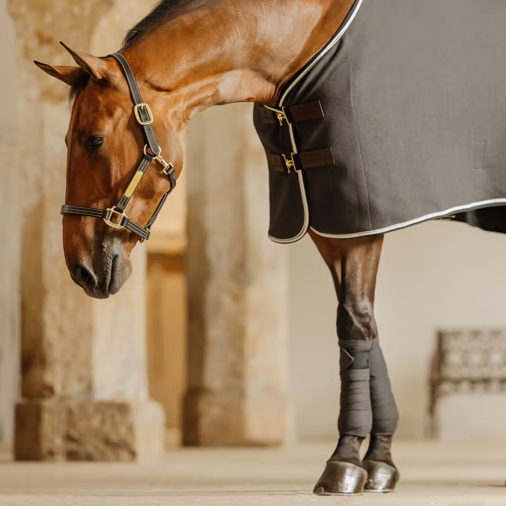 Kentucky Fleecebandagen Show vegan wool