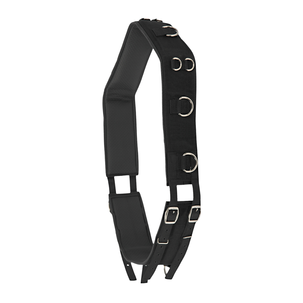 Waldhausen Longiergurt Nylon