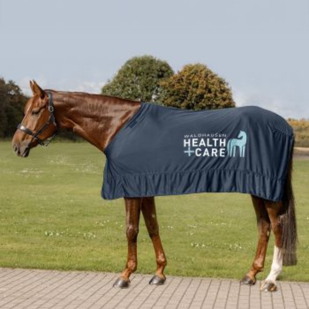 Waldhausen Kühldecke Health + Care Ice-Layer