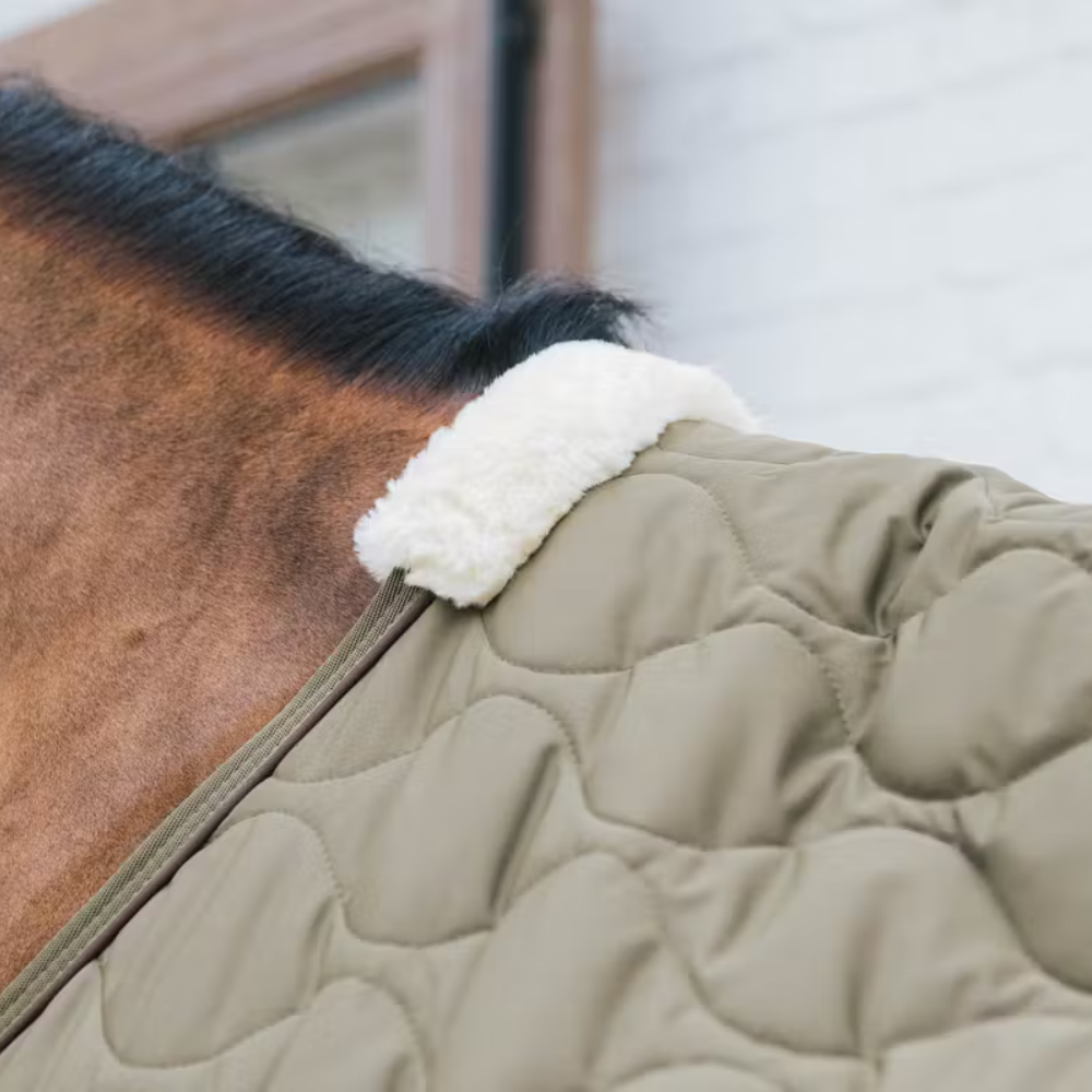 Kentucky Transport Combo Fleecedecke