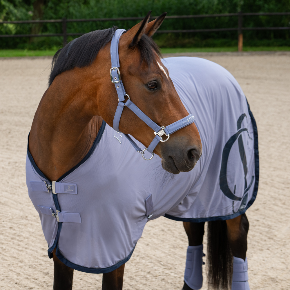 Eskadron Fliegendecke COOLER FLY, Classic Sports 26