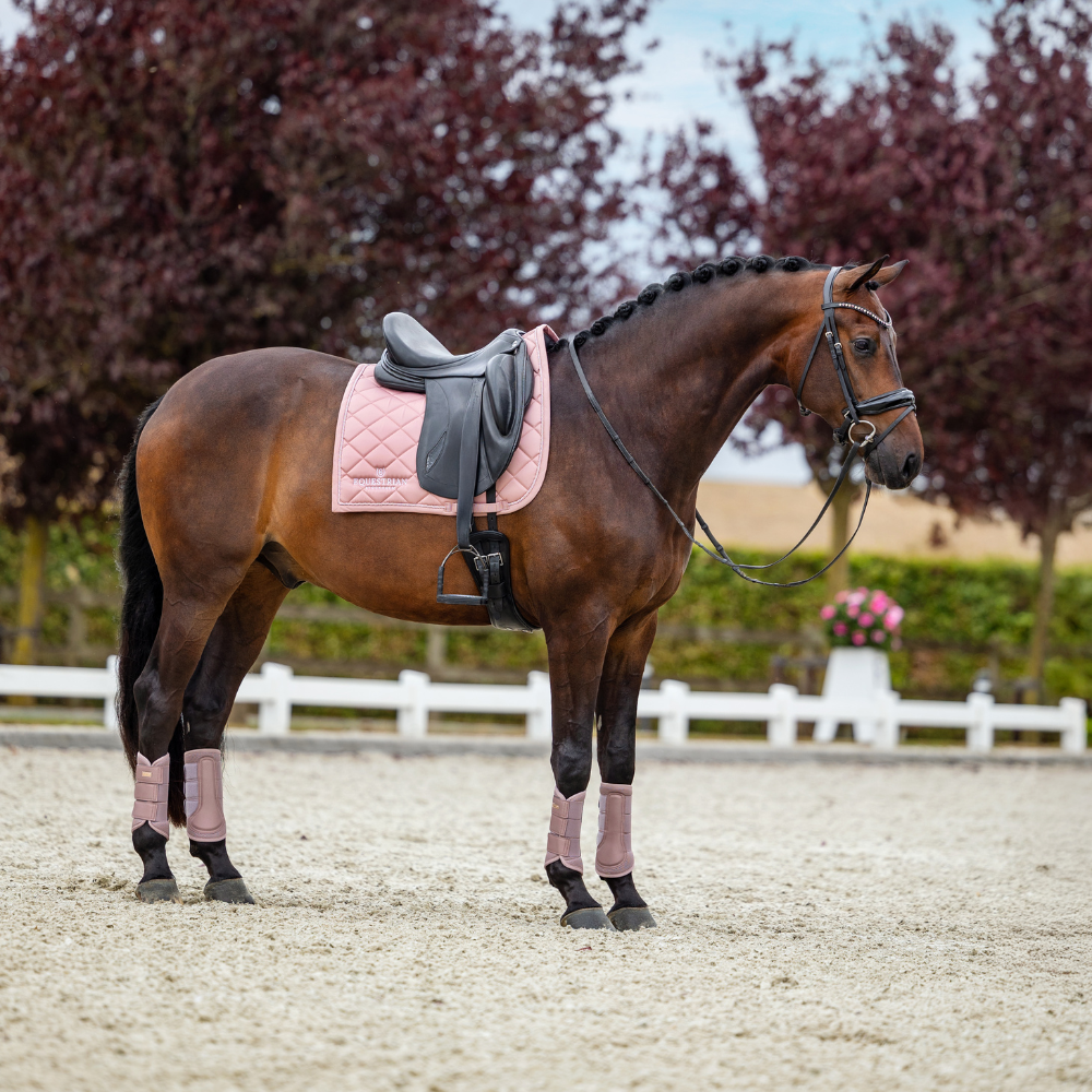 Equestrian Stockholm Dressurschabracke Line Pink