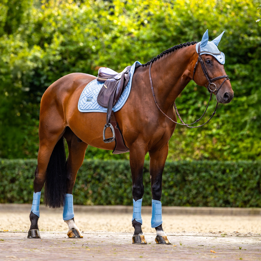 Equestrian Stockholm Springschabracke Modern Midsummer Blue