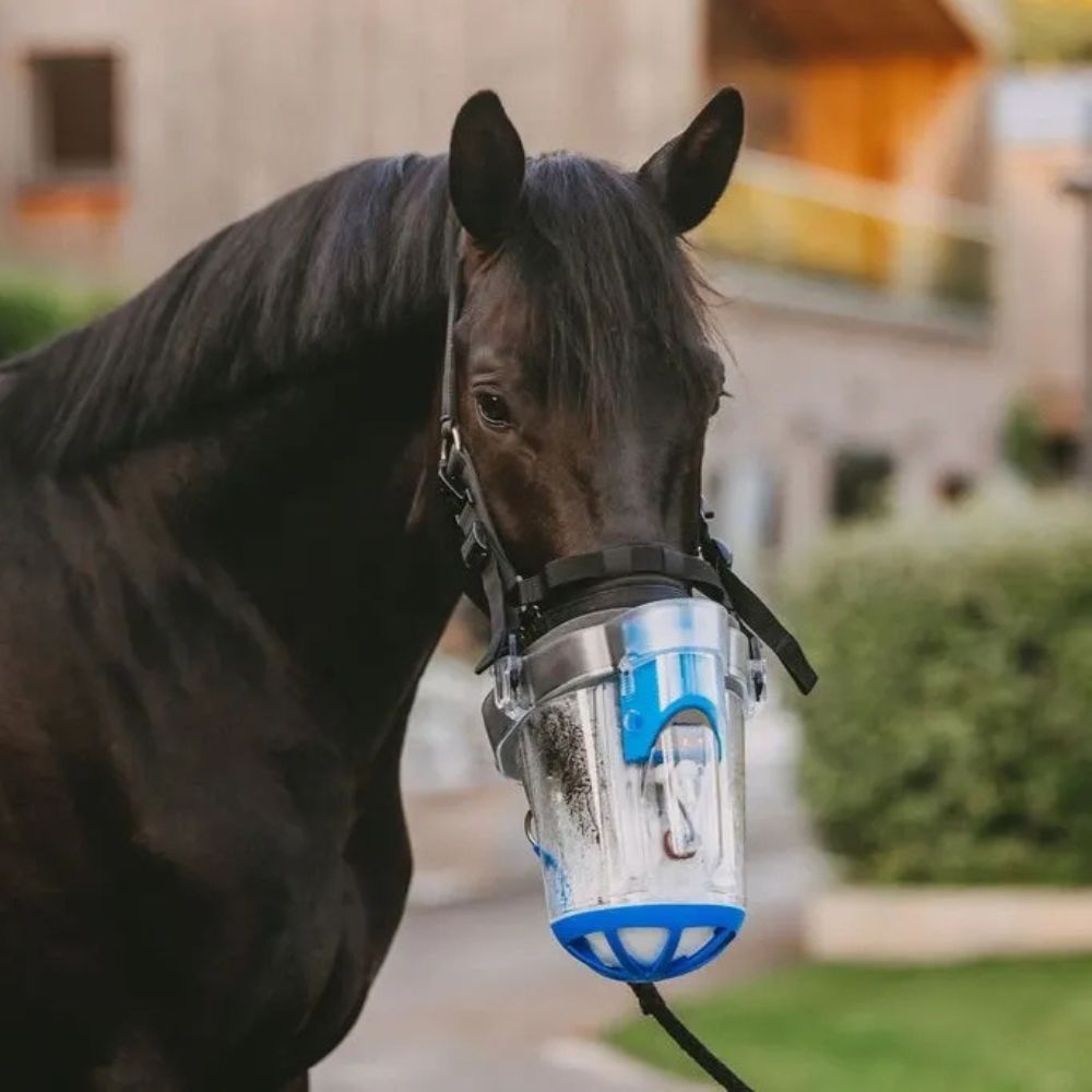 Nebu-Tec SaHoMa-II Inhalationsset für Pferde Premium