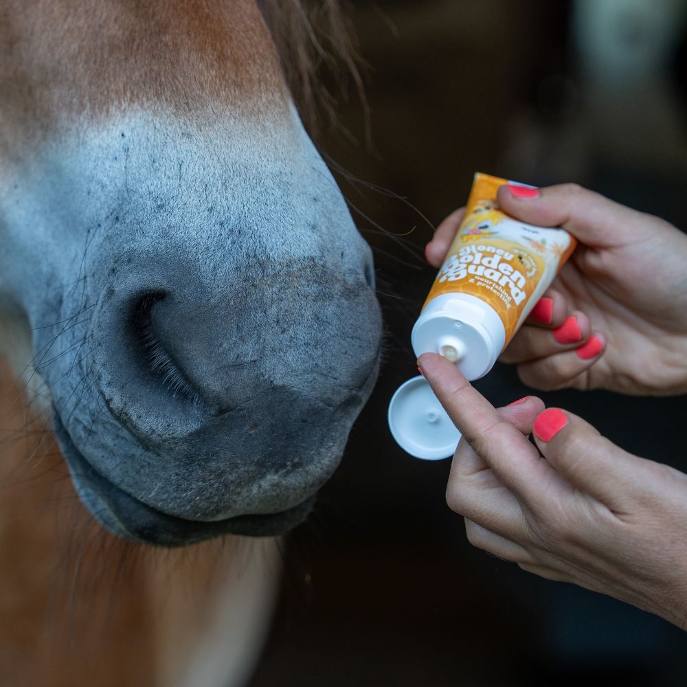 Lilla Livet Honey Golden Guard, Maulpflege mit Honig