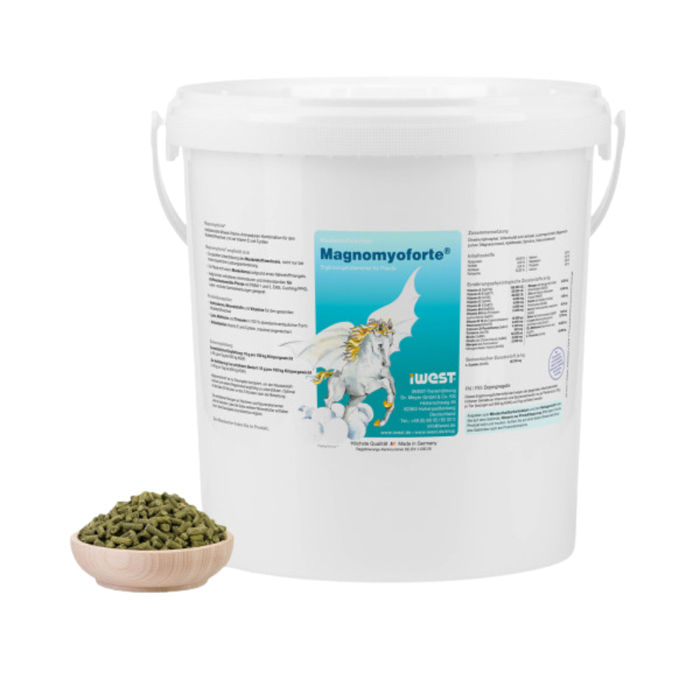 iWest Magnomyoforte