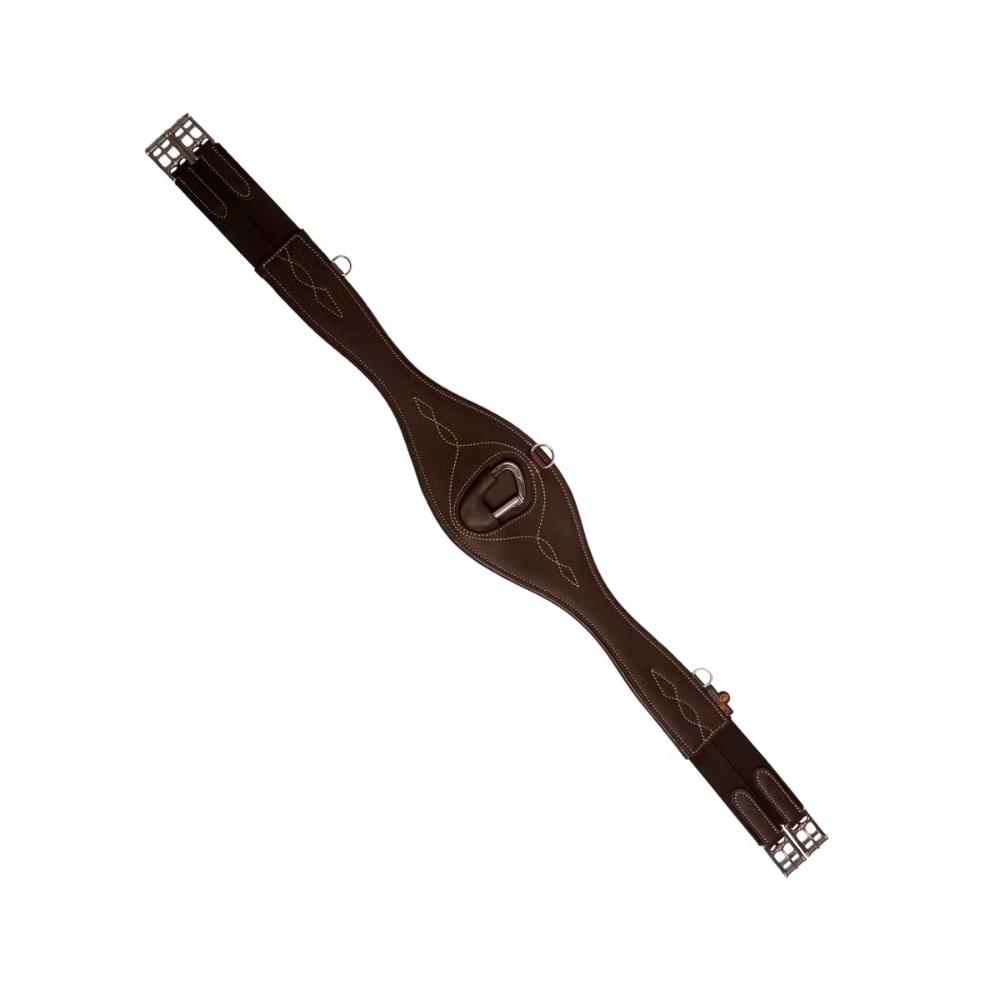 Kentucky Gurt Anatomisch