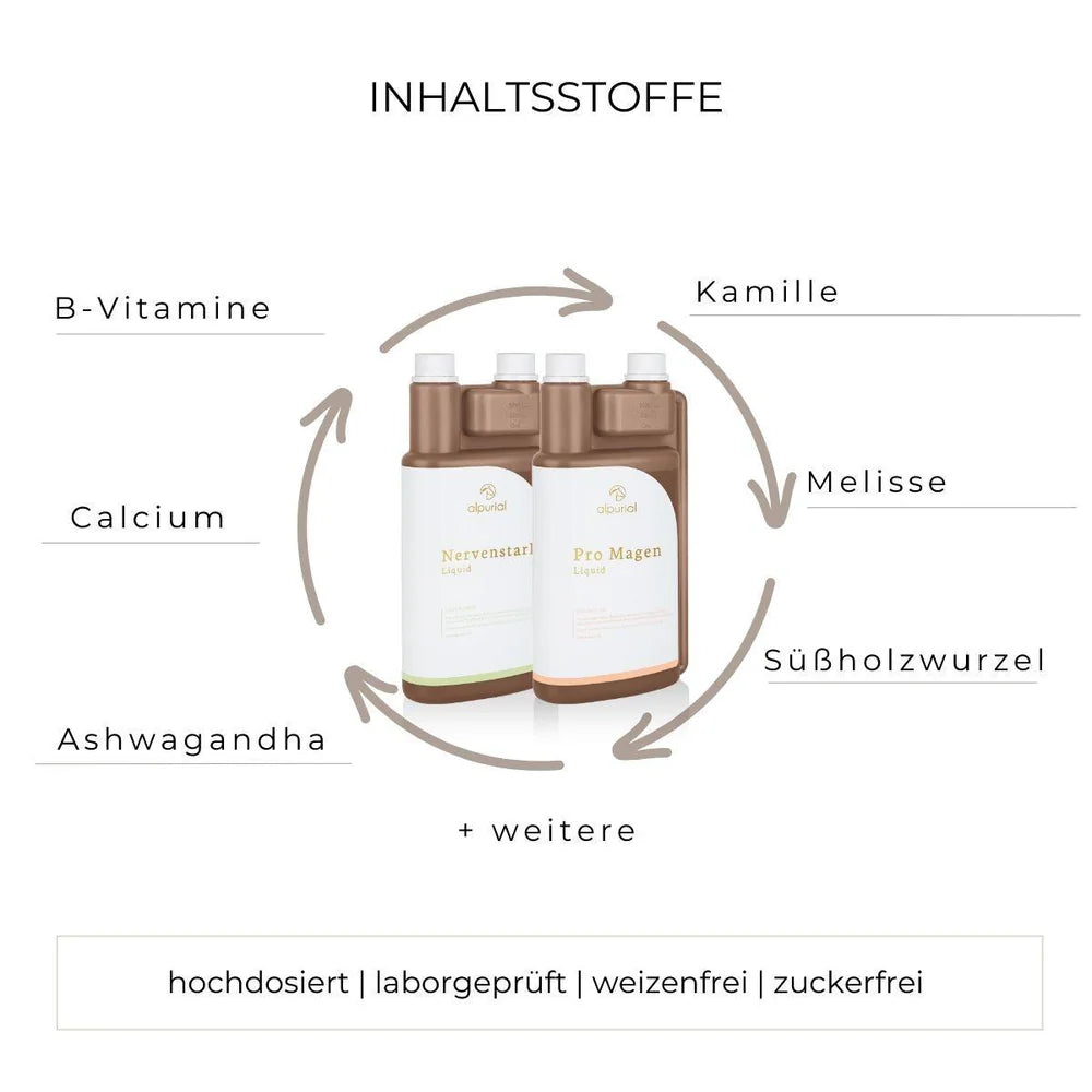 Alpurial Magenruhe Bundle