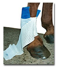 Stübben Kryo Kompakt Horse Kältekissen