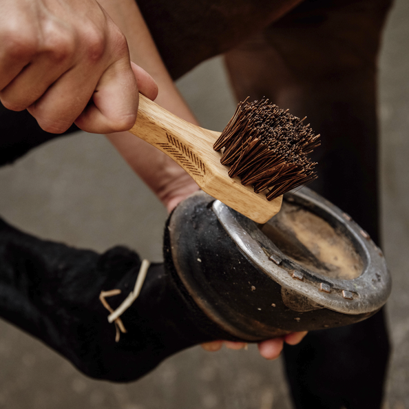 Grooming Deluxe Hufkratzer