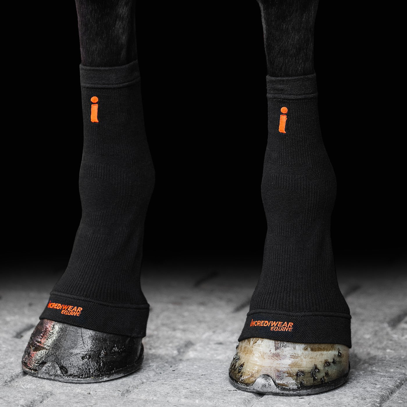 ESS Incrediwear Equine Hoof Socks Limited Edition Black