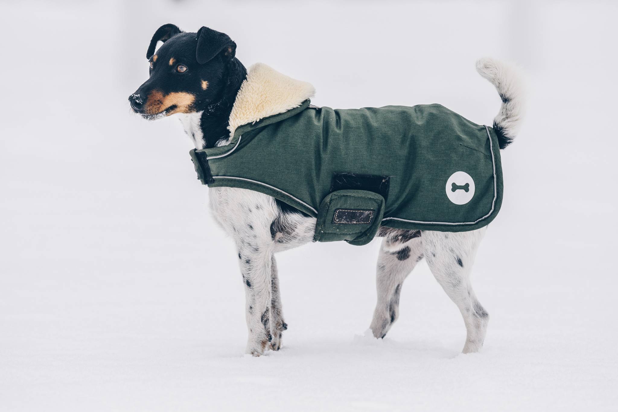Kentucky Hundemantel Waterproof 300g
