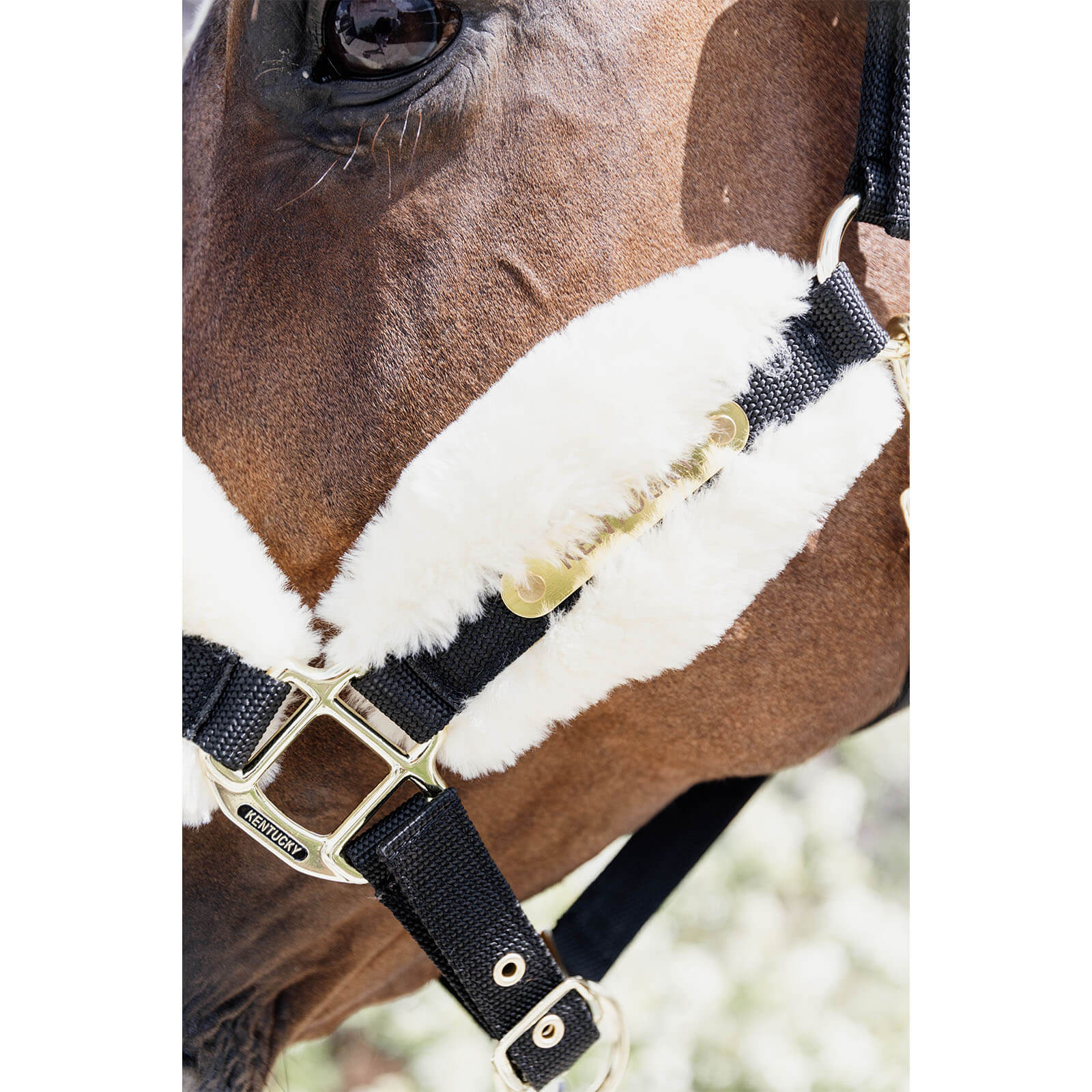 Kentucky Horsewear Nylon Lammfell Halfter Soft