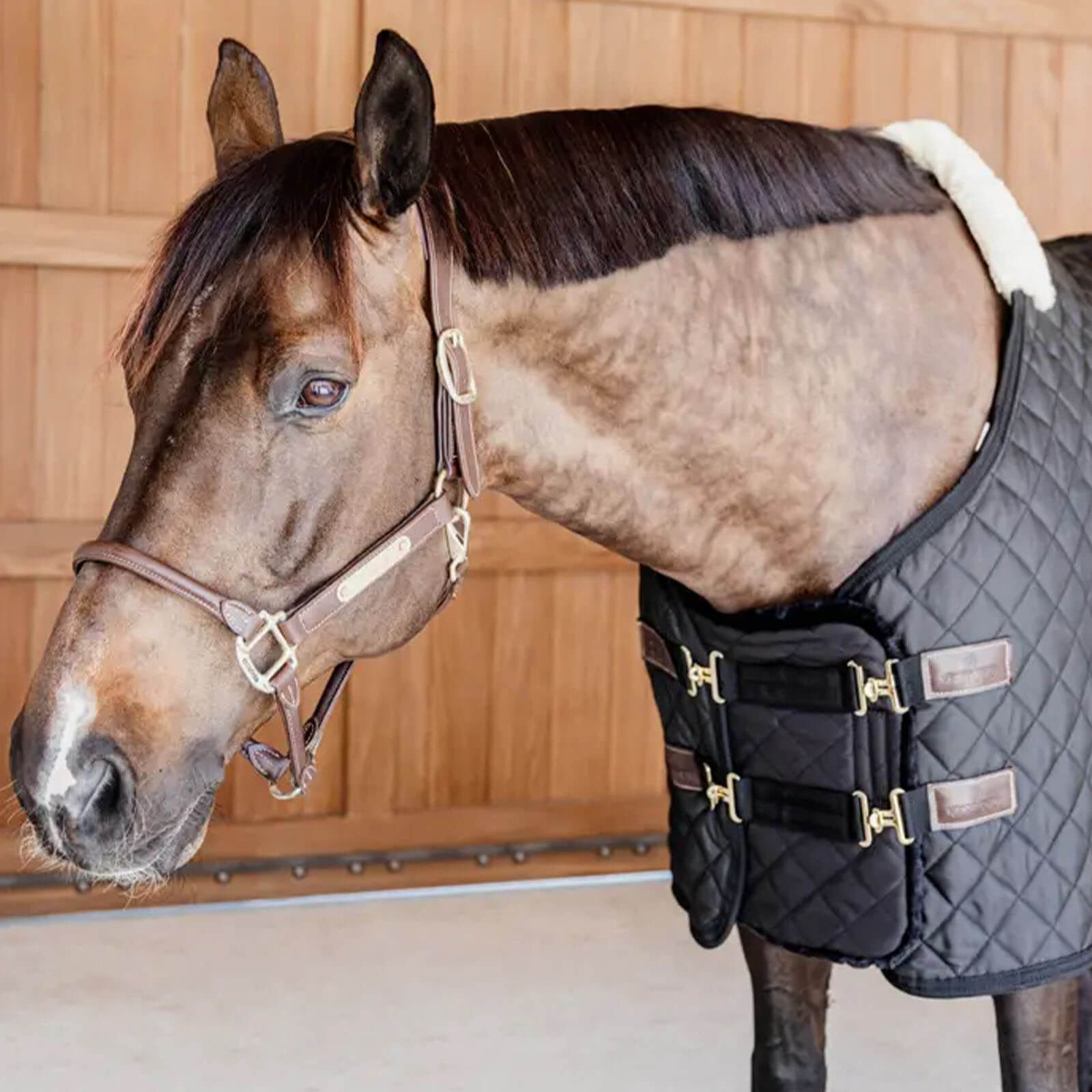 Kentucky Horsewear Brusterweiterung Steppung mit Fell