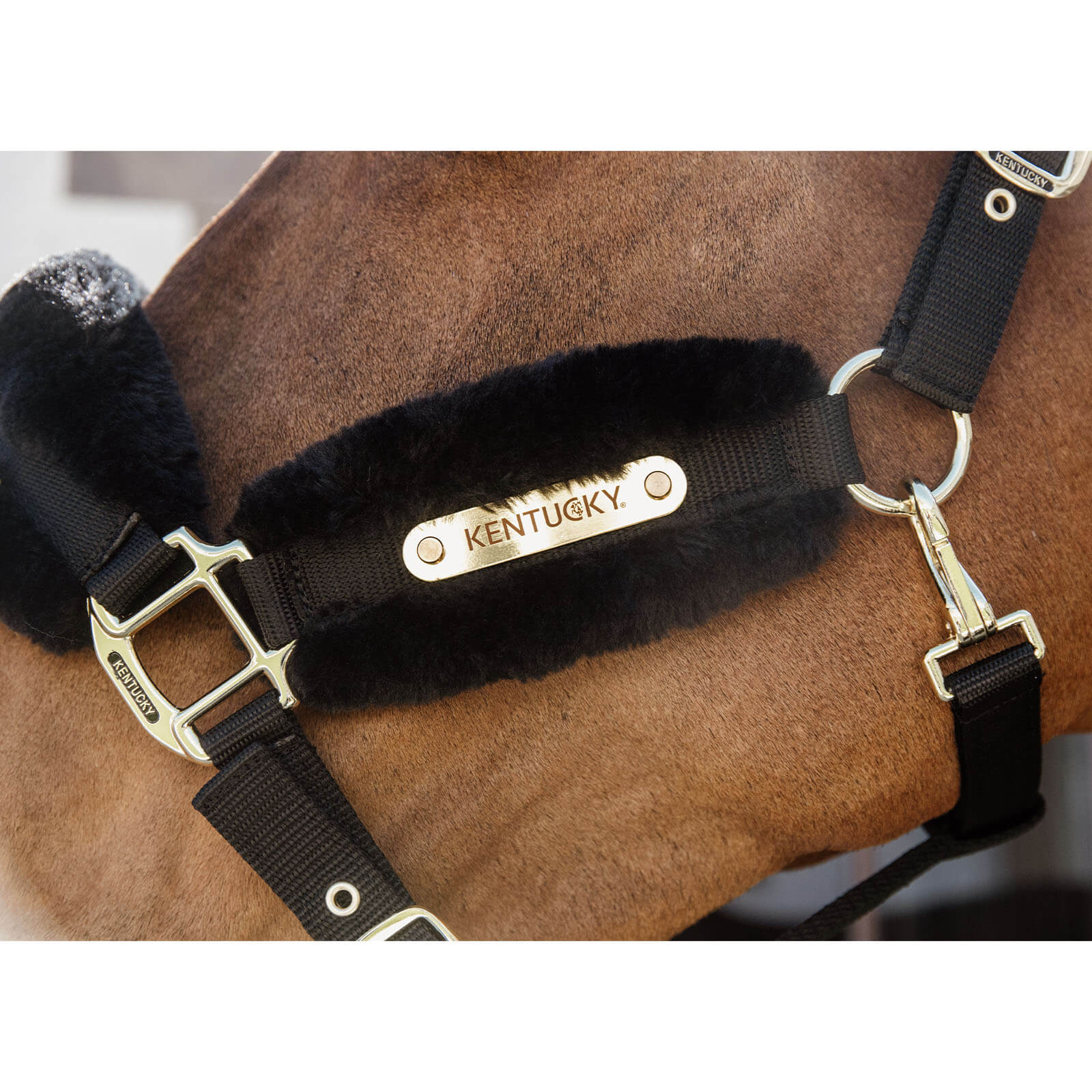 Kentucky Horsewear Nylon Lammfell Halfter Soft