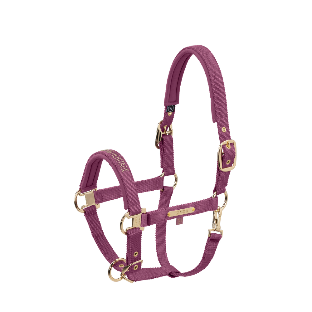 Eskadron Halfter GIRTH DOUBLE PIN, Heritage 25/26