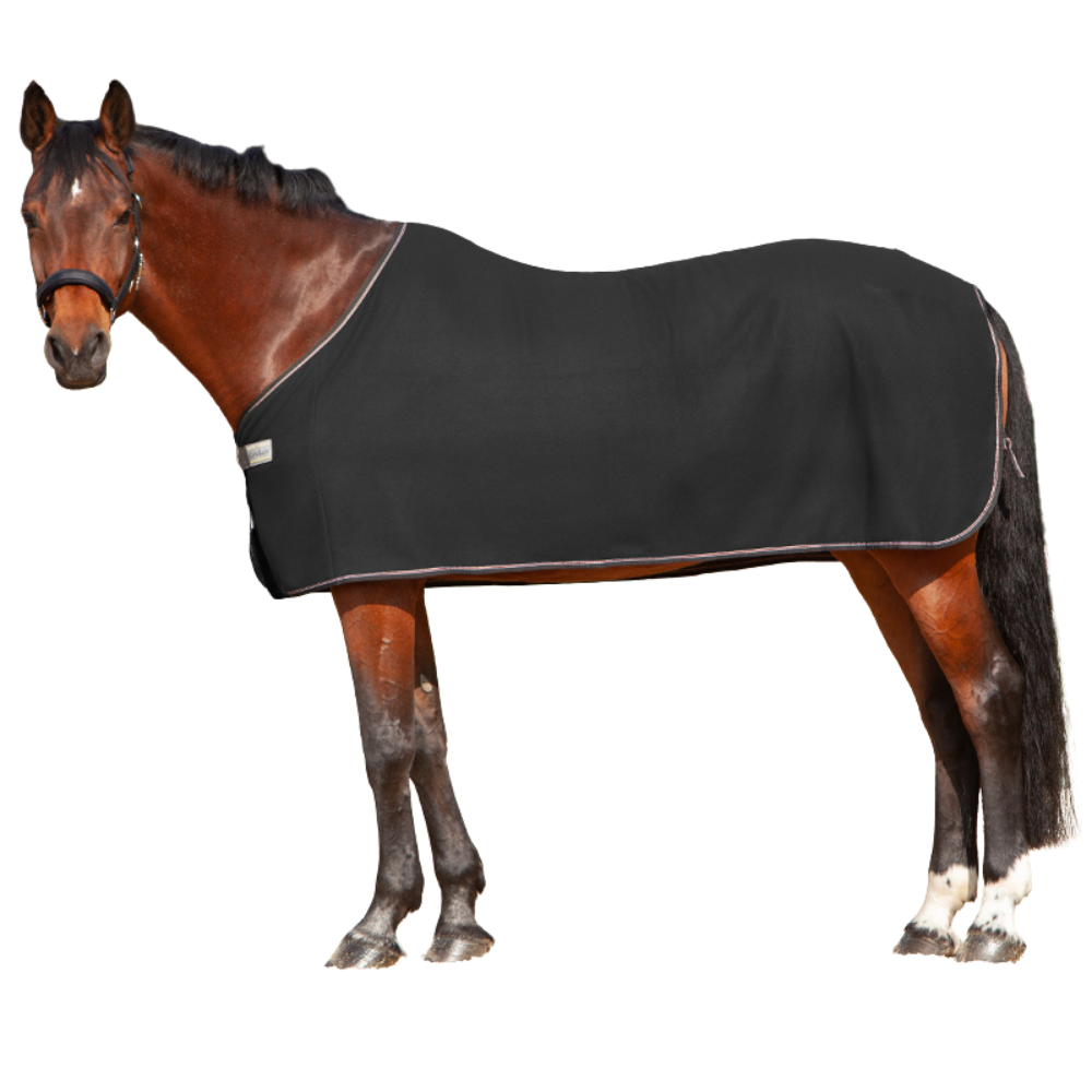 Kavalkade Abschwitzdecke Ecoline