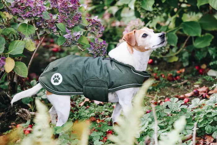 Kentucky Hundemantel Waterproof