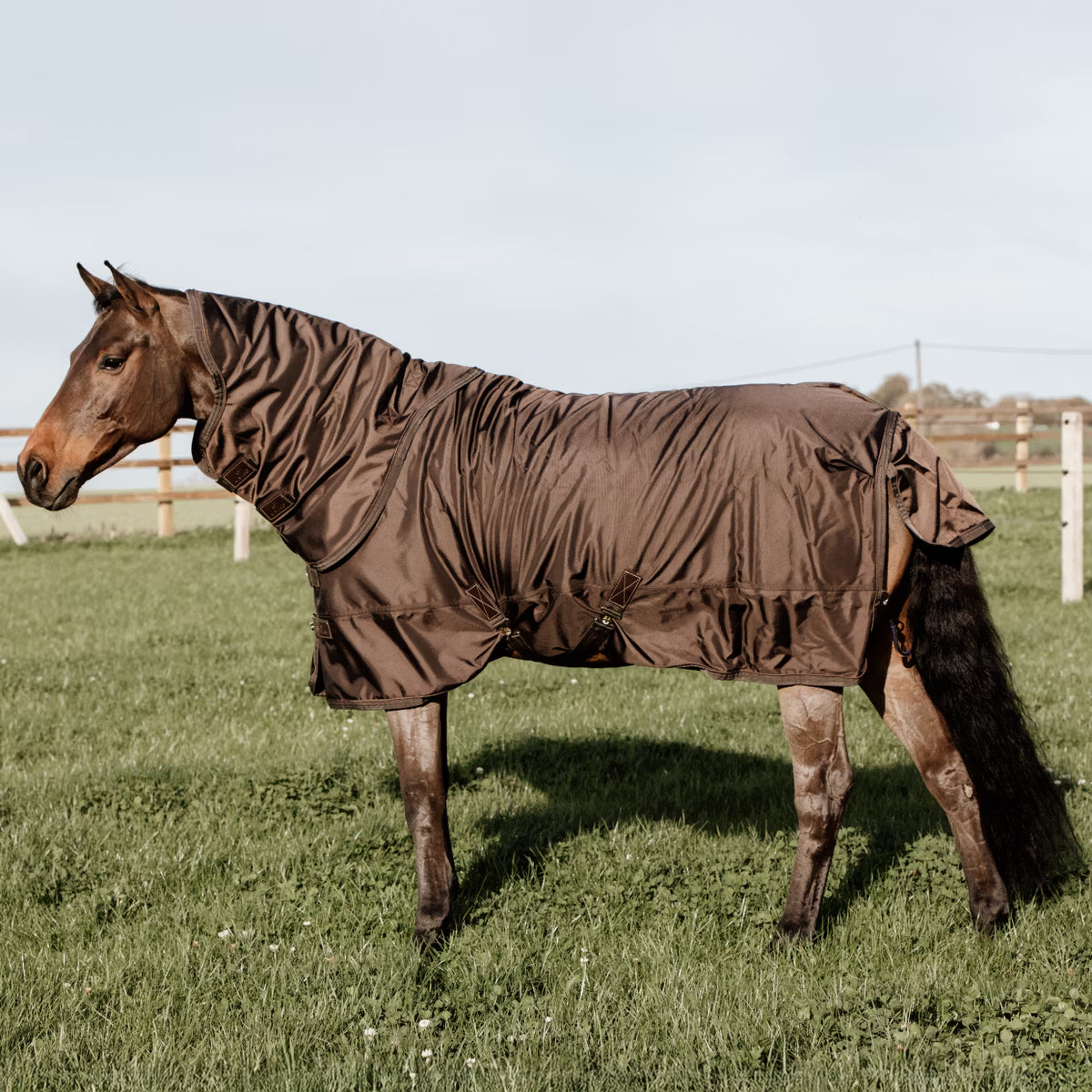Kentucky Turnout Rug All Weather Waterproof Pro 160G
