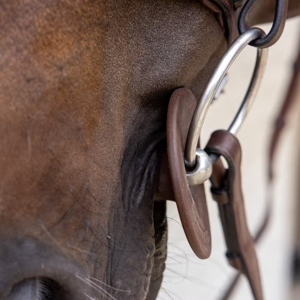 Grooming Deluxe Silikon Gebissringe