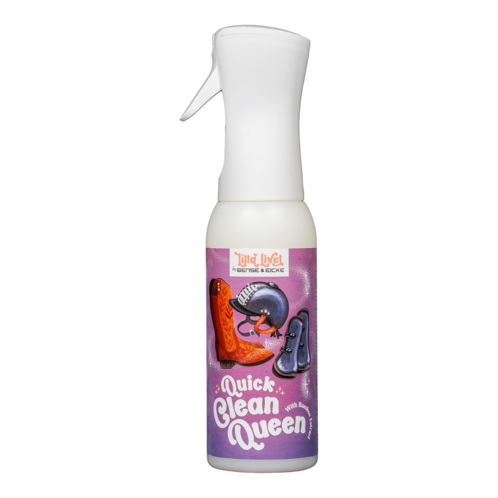 Lilla Livet Quick Clean Queen, Kunststoff und Lederreiniger