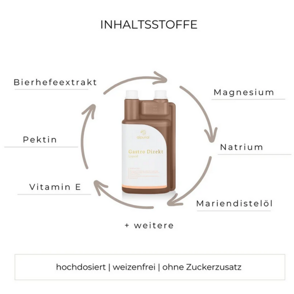 Alpurial Gastro direkt
