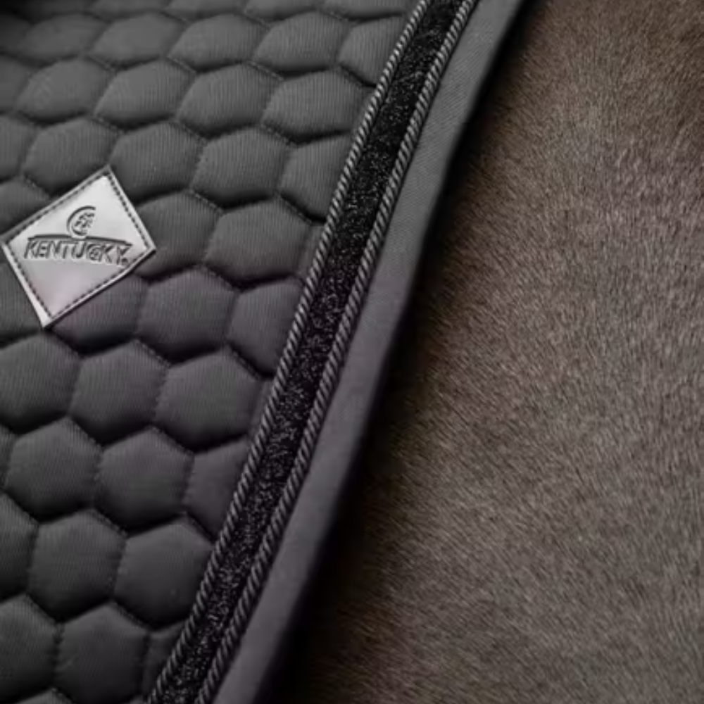 Kentucky Schabracke Glitter Band Dressur