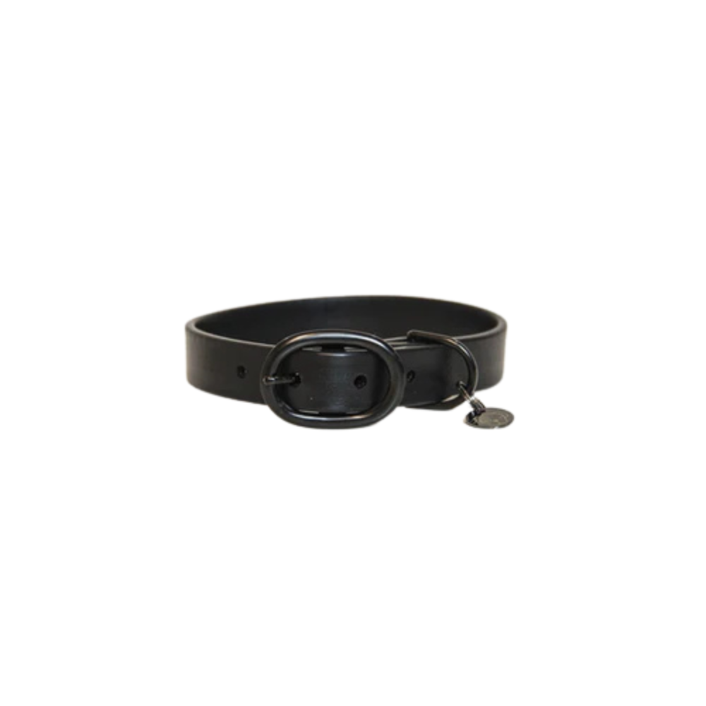 Kentucky Hundehalsband Soft Rubber