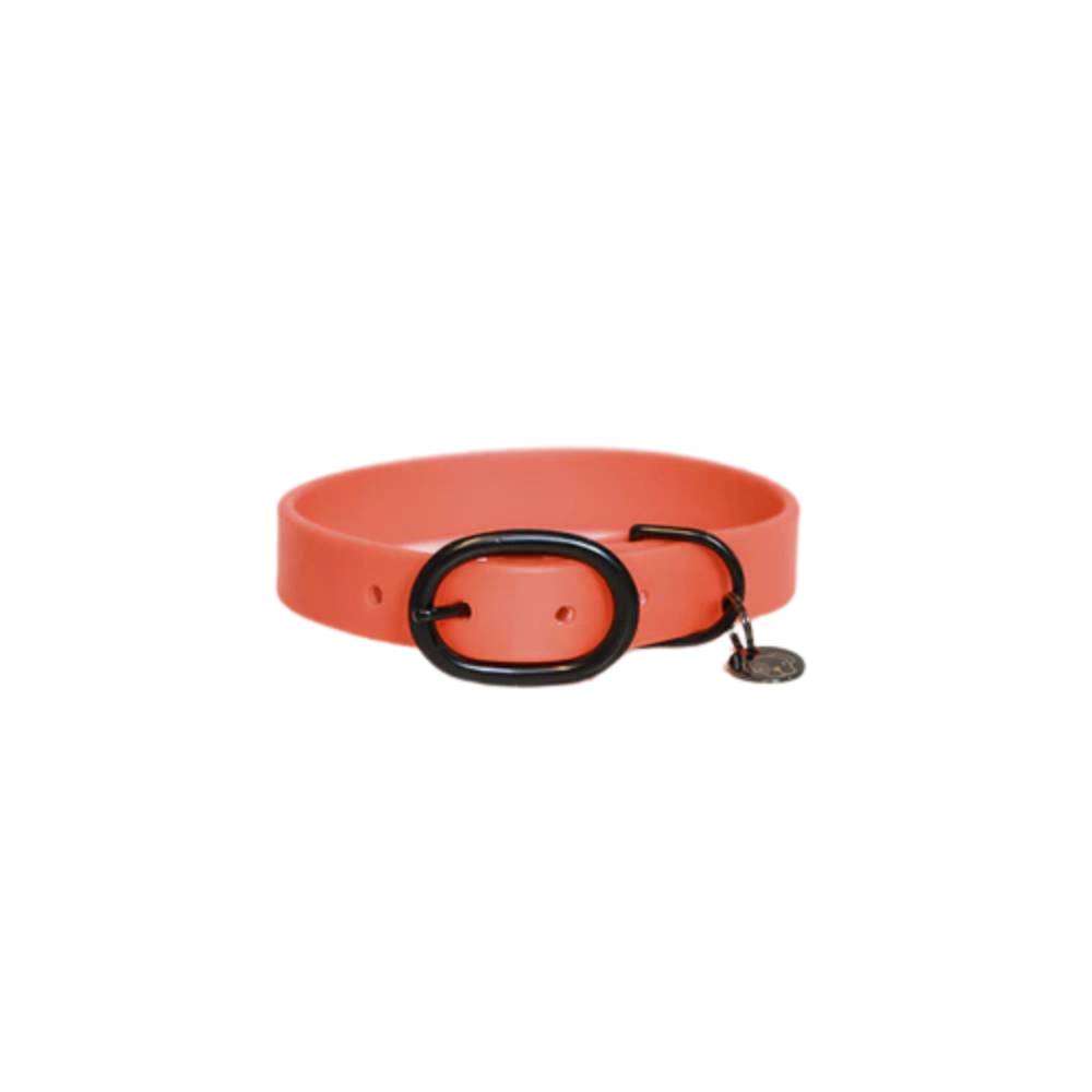 Kentucky Hundehalsband Soft Rubber