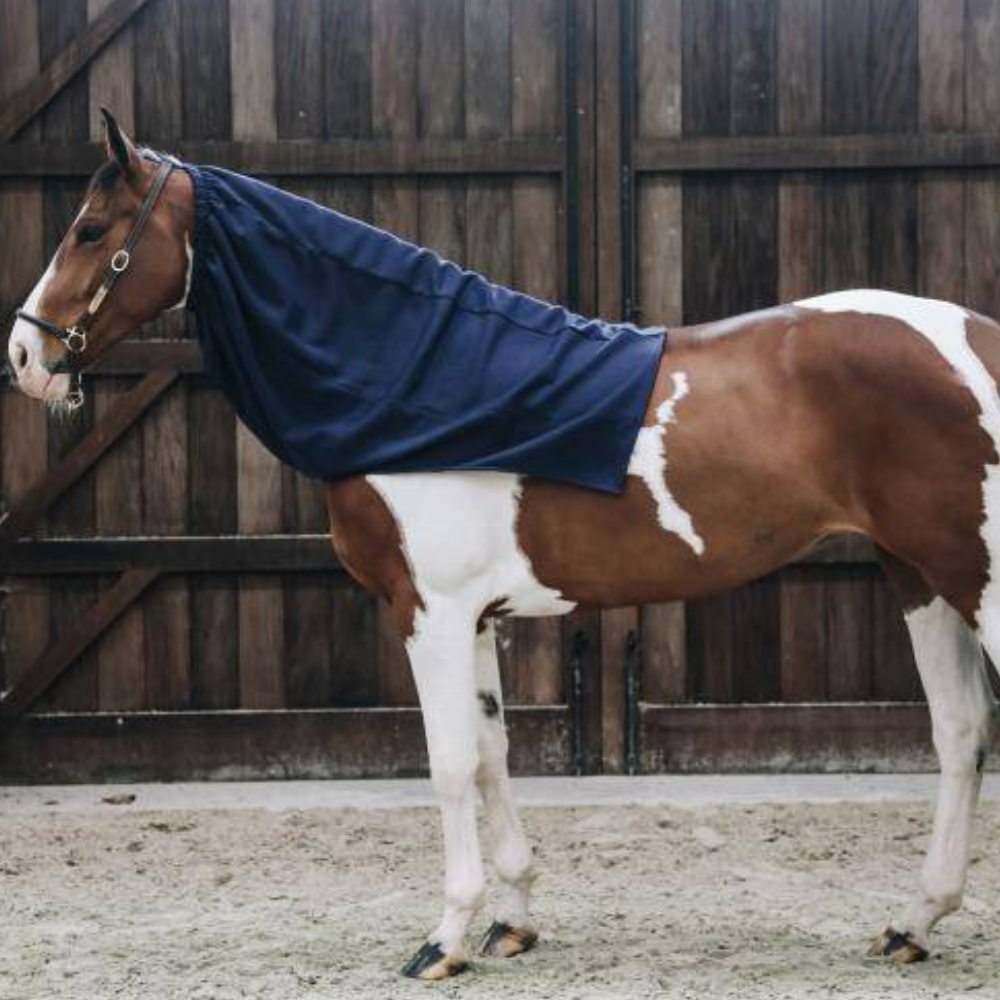 Kentucky Cooler Fleece Horse Scarf