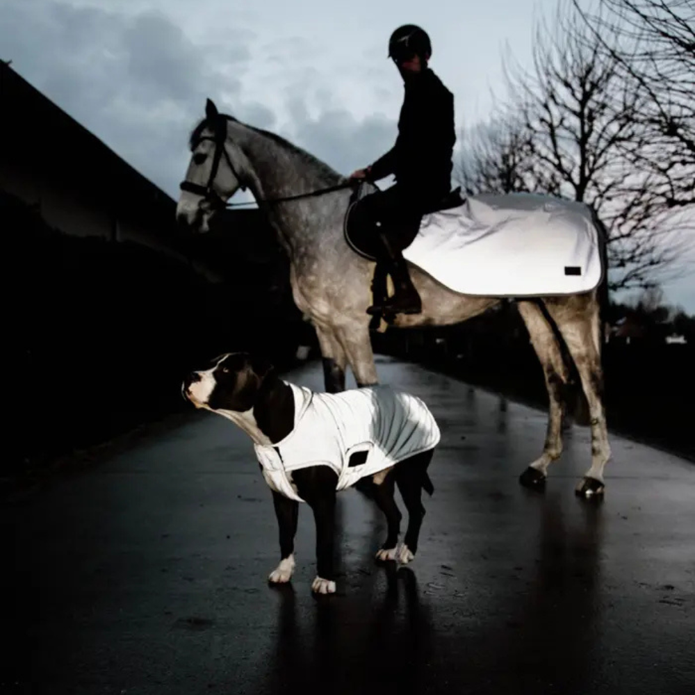 Kentucky Hundemantel reflektierend & wasserabweisend mit Bauchlatz