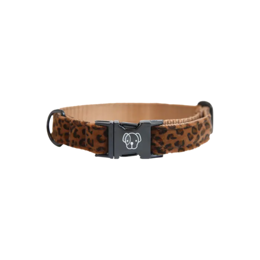 Kentucky Hundehalsband Leopard