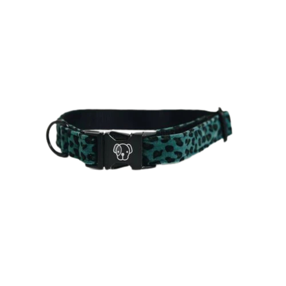 Kentucky Hundehalsband Leopard